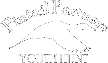 Pintail Partners logo